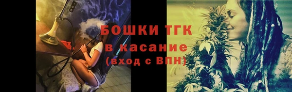 СК Алексин