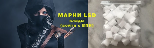 СК Алексин