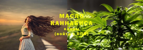СК Алексин