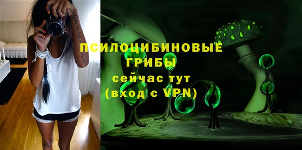 соль курить ск Алексеевка