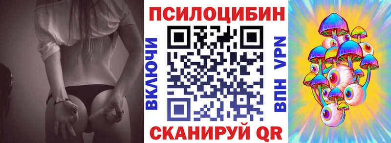 где купить   Приморск  Псилоцибиновые грибы Psilocybine cubensis 